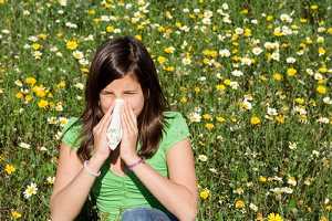 Imagen ilustrativa del artículo Plantas para tratar la Fiebre del Heno o Alergia de Primavera